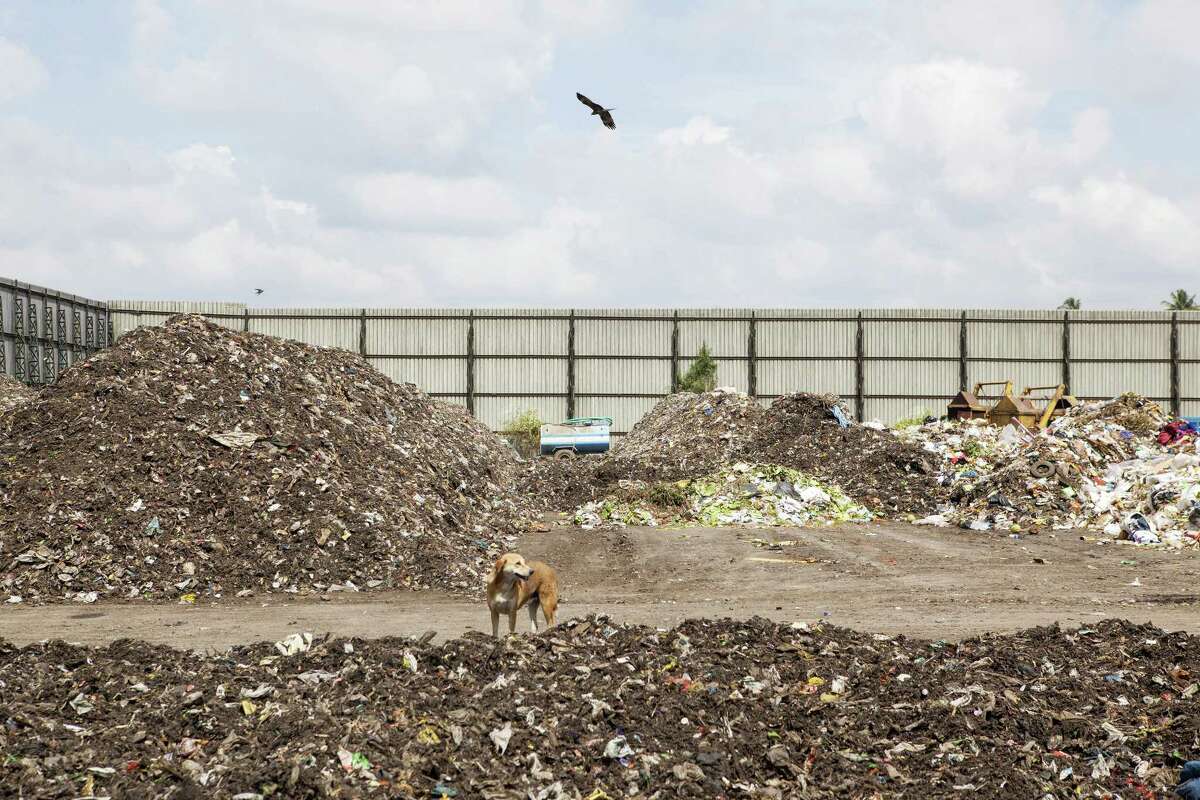 A dog stands among non-segregated waste at a compost plant in Mysuru, India, on Nov. 21, 2017.