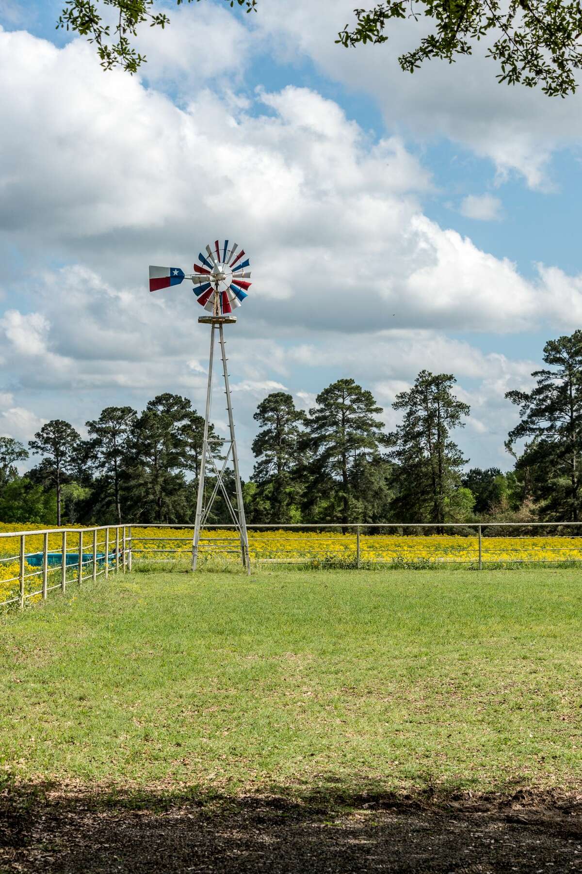 Saloon, private lake, and a personal peach orchard all come with