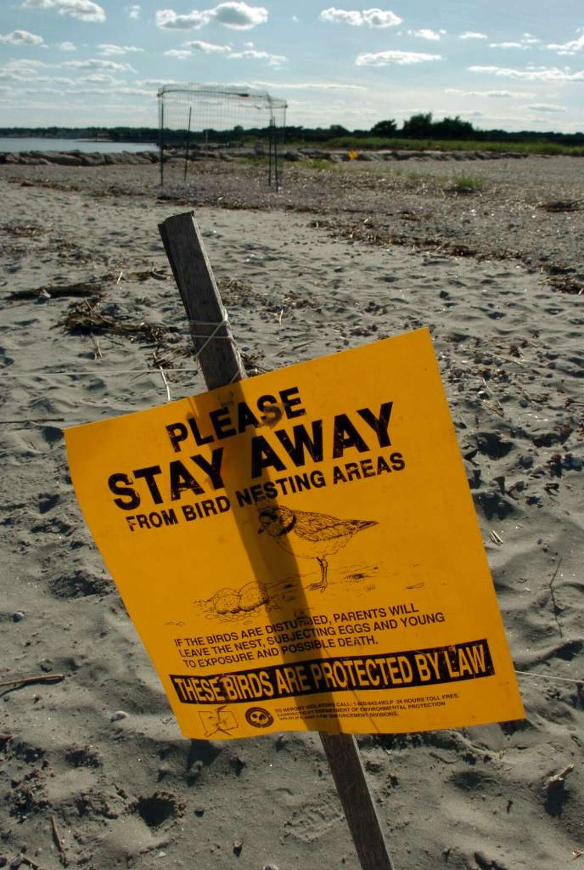 A sign warns beach goers about the protected piping plovers nest along the beach at Silver Sands State Park in Milford, Conn. on Friday July 02, 2010. In the background is a metal cage which was placed over the nests to protect them.