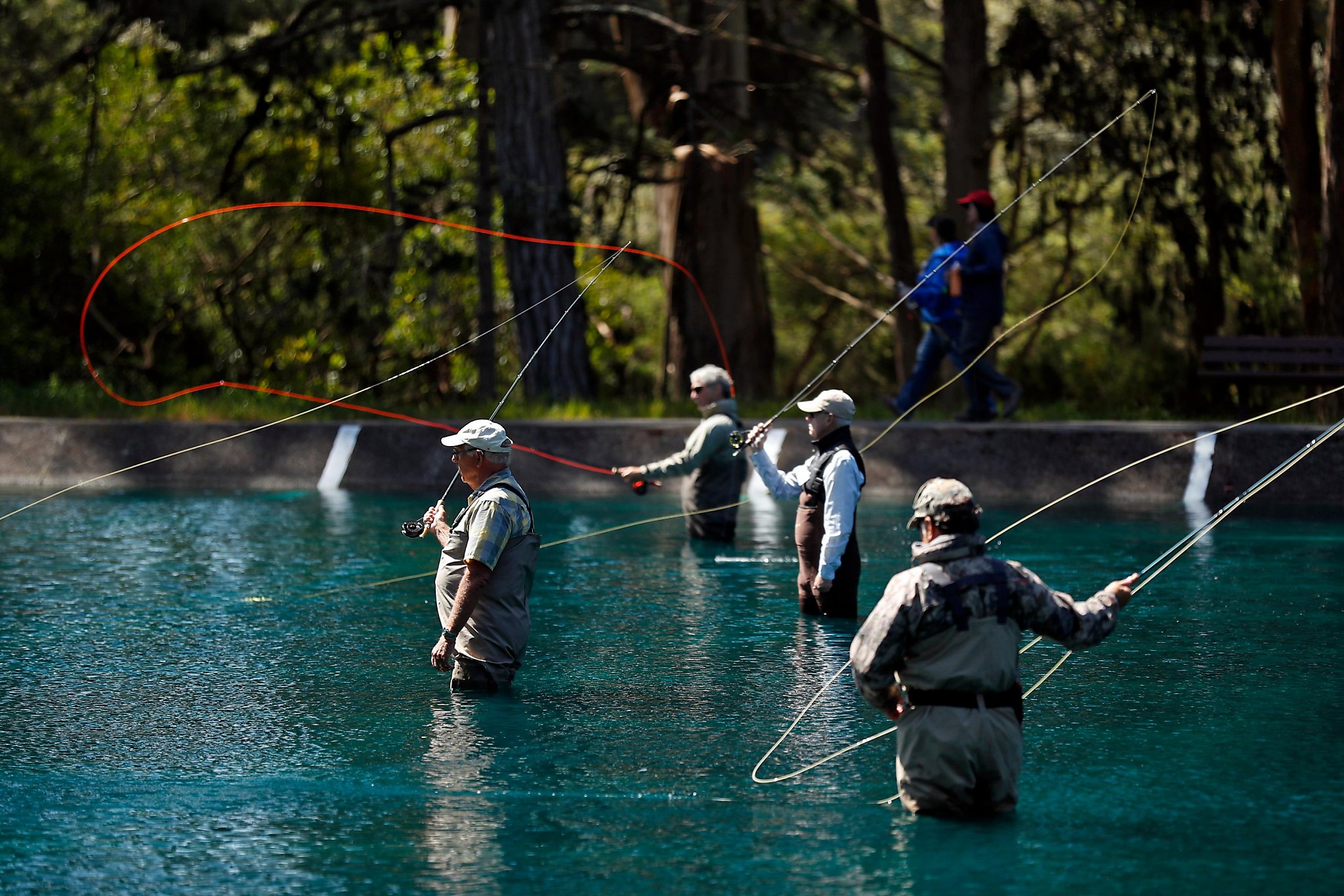  SF s grand old man of fly- fishing in Golden Gate Park 