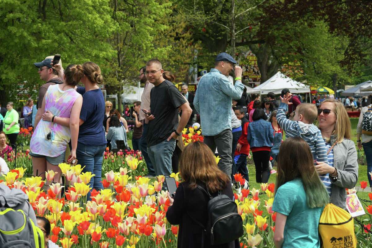 Albany announces Tulip Festival lineup