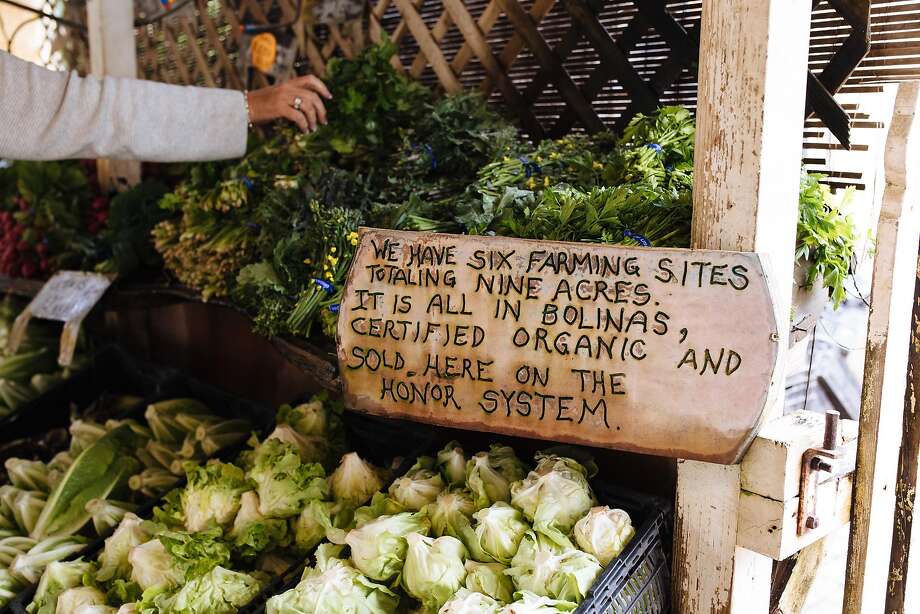 customers pick up produce at the gospel flats farm stand in