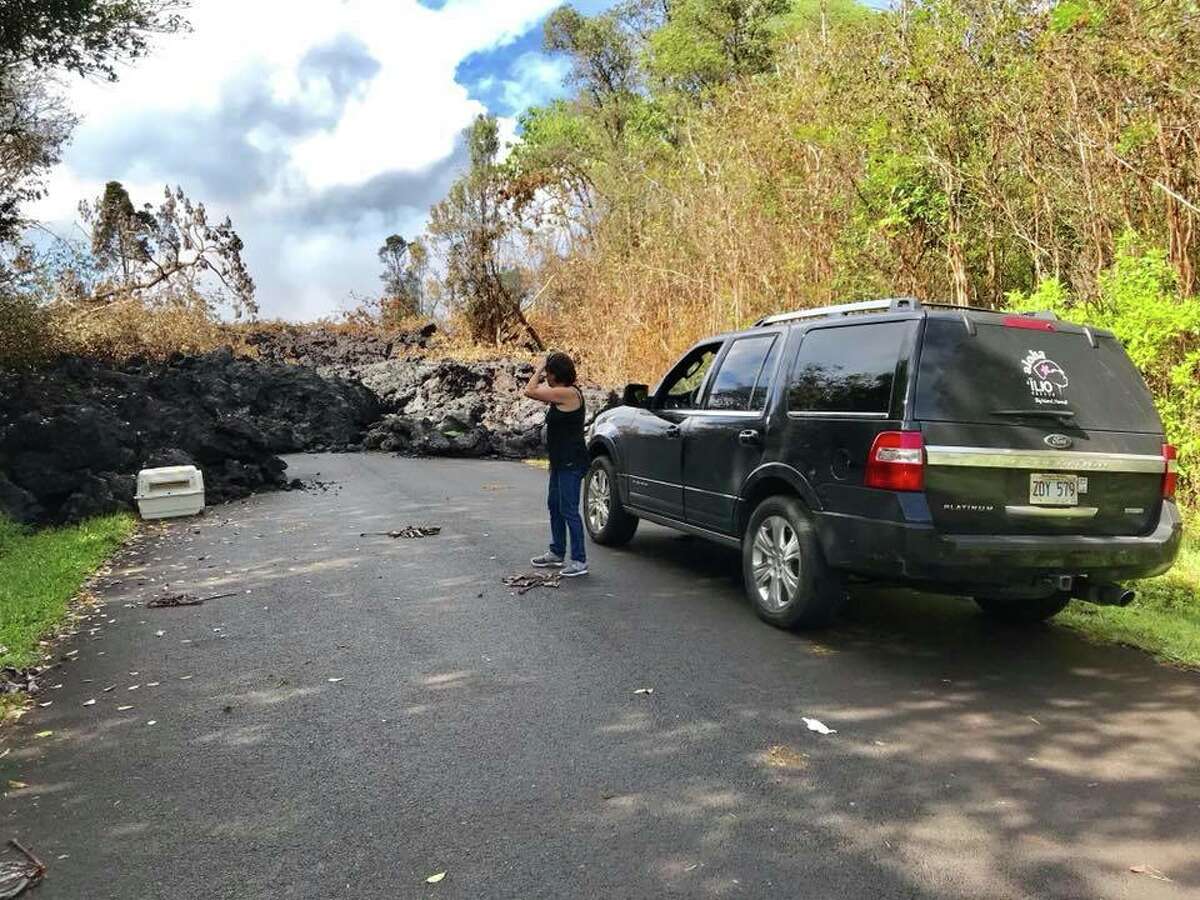 'Surrounded by lava' Missing dogs saved by rescue group in Hawaii