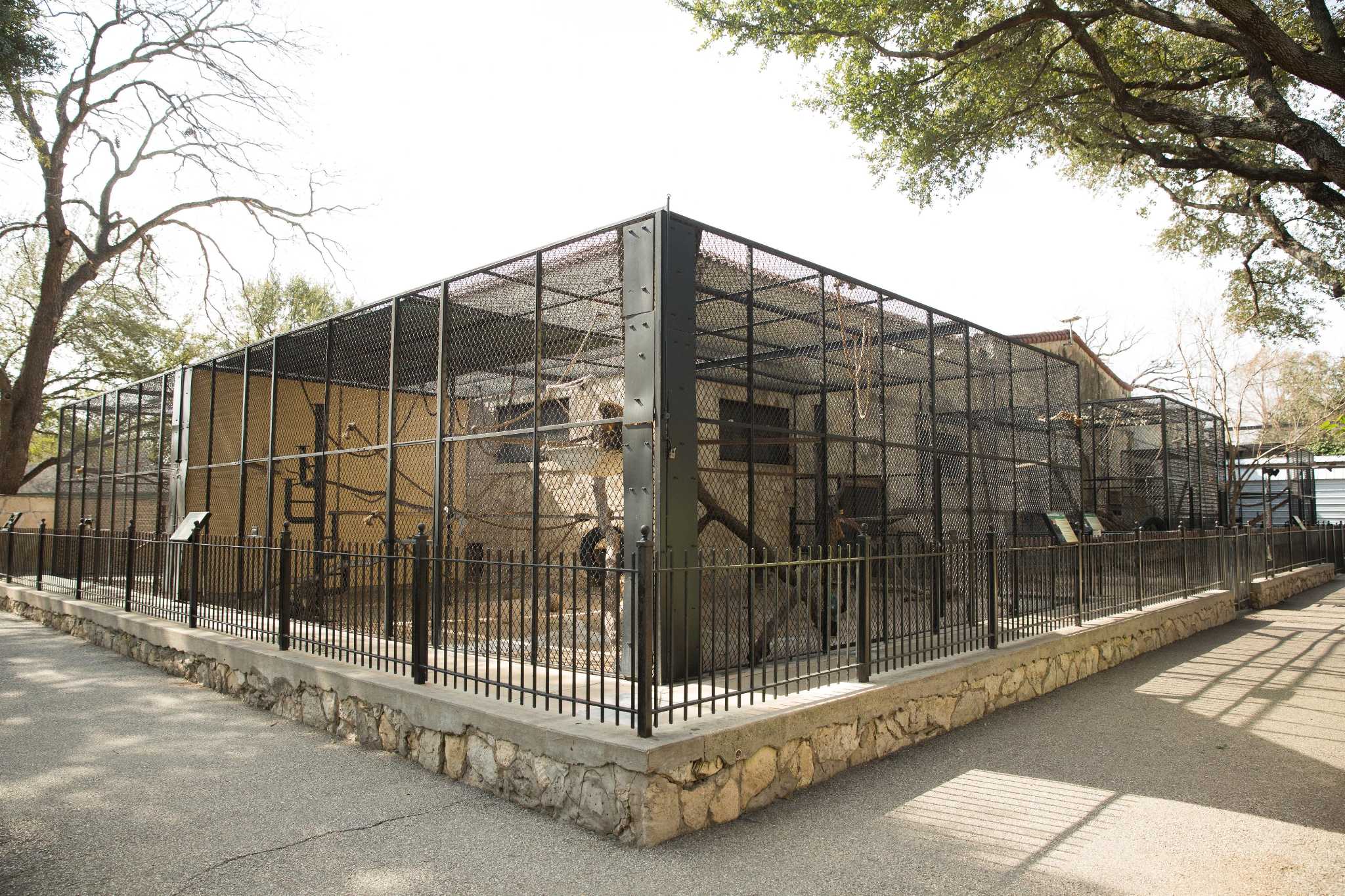 San Antonio Zoo closing monkey habitat for renovation