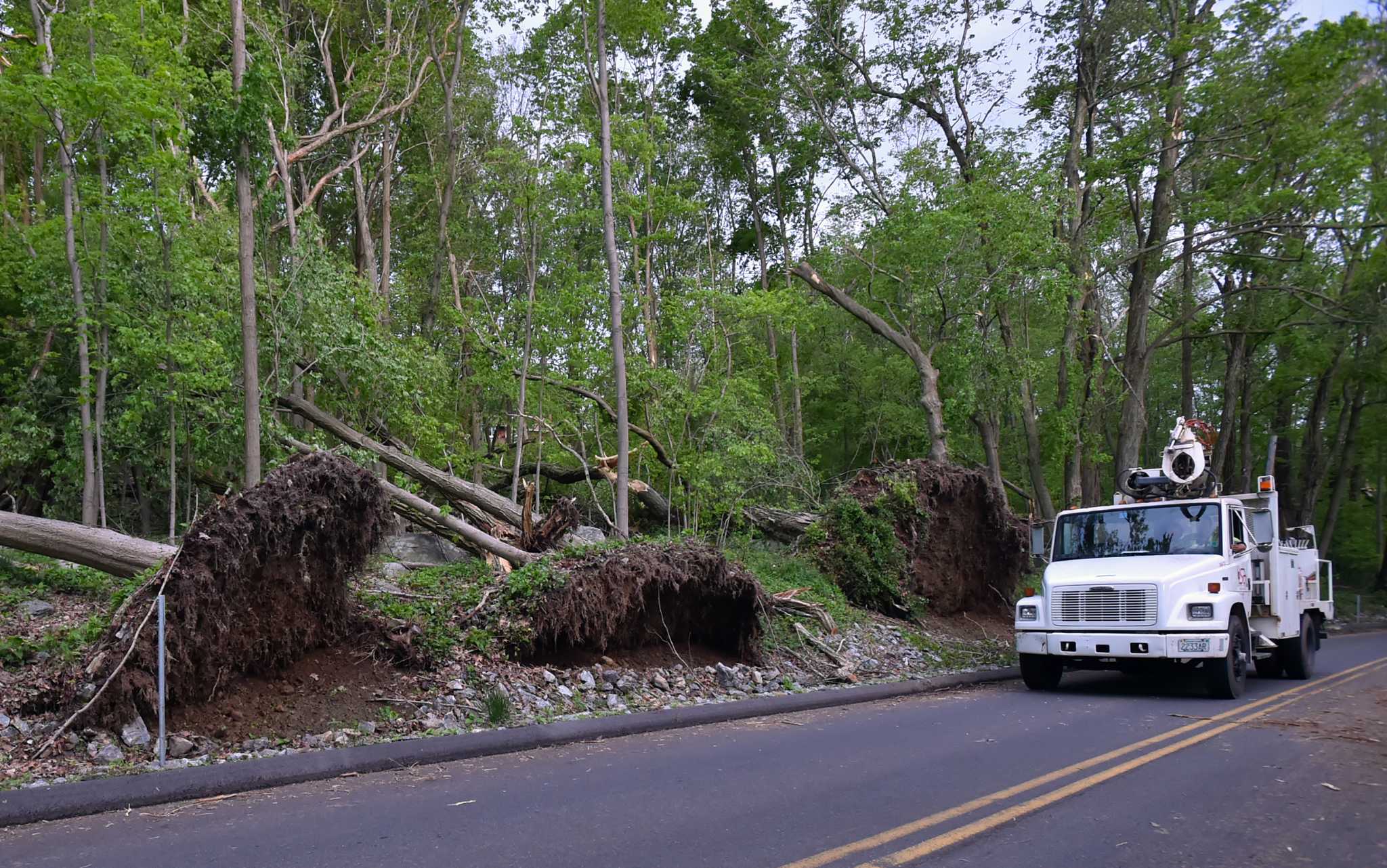 Storm leaves thousands without power in Greater New Haven