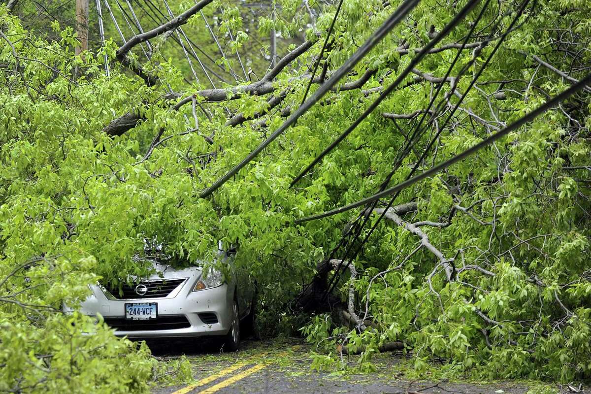 Worst of Brookfield damage caused by “macroburst,” not a tornado ...