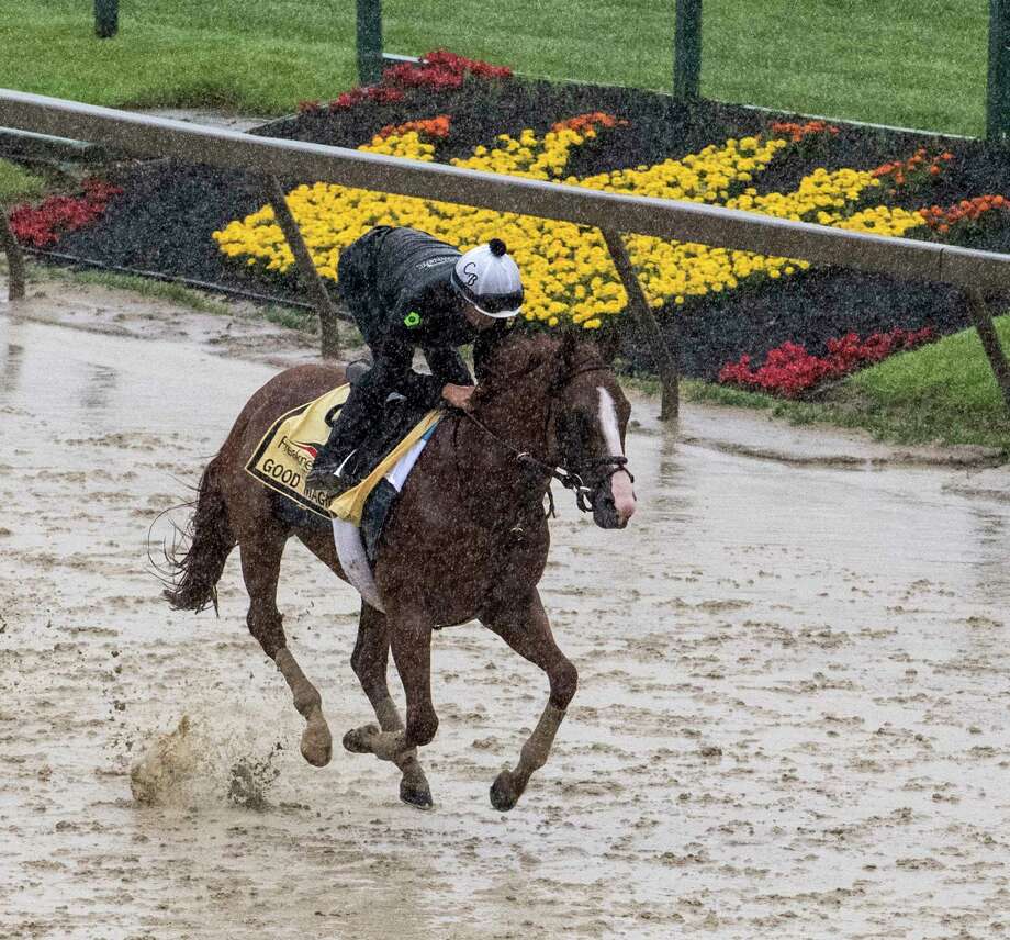 Good Magic, second in the Kentucky Derby gallops in the mud during morning exercise at Pimlico Race Course in preparation for Saturday's Preakness Stakes Thursday May 17, 2018 in Baltimore, MD (Skip Dickstein/Times Union) Photo: SKIP DICKSTEIN, Albany Times Union