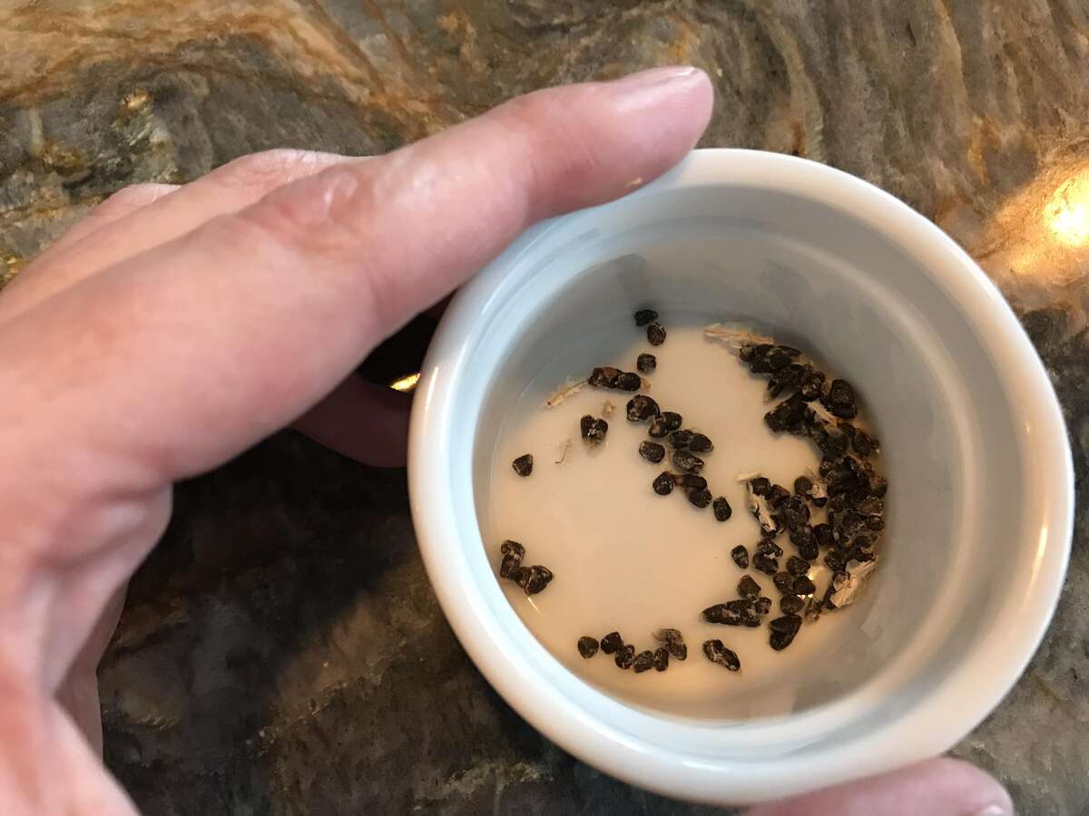 Recipe CardamomPoached Apricots