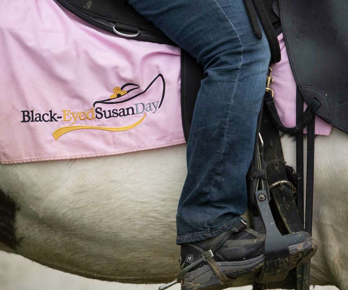 An outrider uses a Black-Eyed Susan saddle cloth at the Pimlico Race Course on Preakness Day Friday May 18, 2018 in Baltimore, MD. (Skip Dickstein/Times Union)