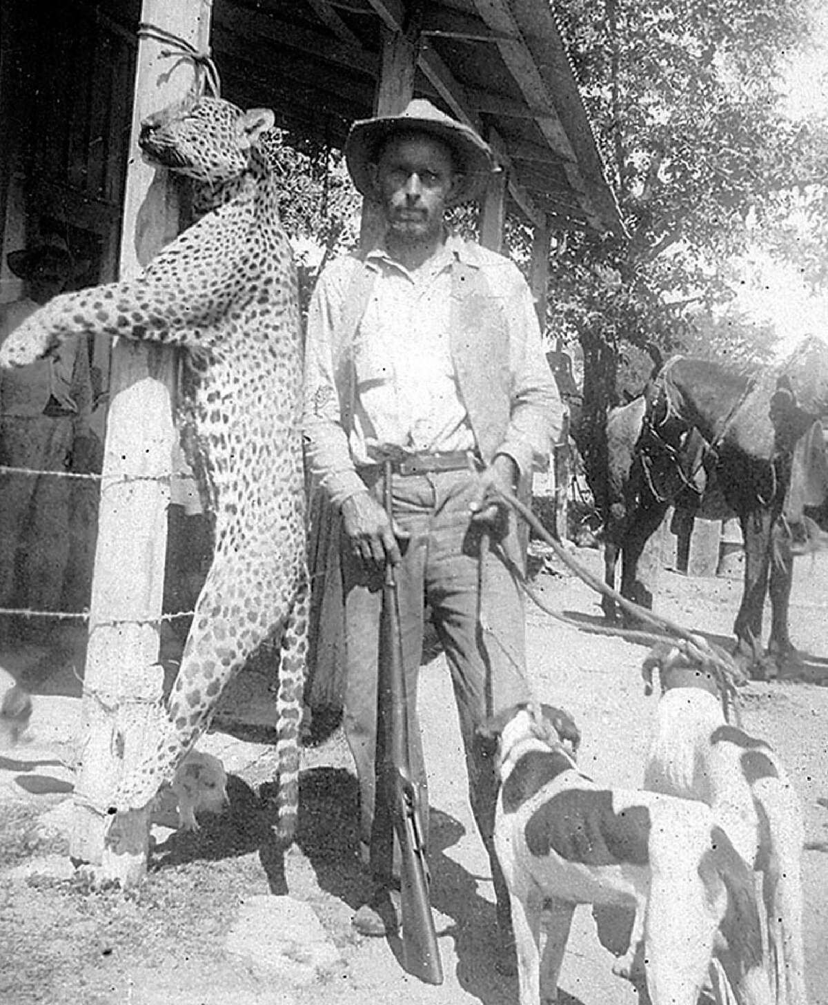 Cecil Thompson and his hunting dogs show off a jaguar they killed in the nearby mountains early in the 20th century. Jaguars and mountain lions preyed on calves and other animals, belonging to the early American colonists in Mexico. Photo Courtesy of Blalock Mexico Colony Project