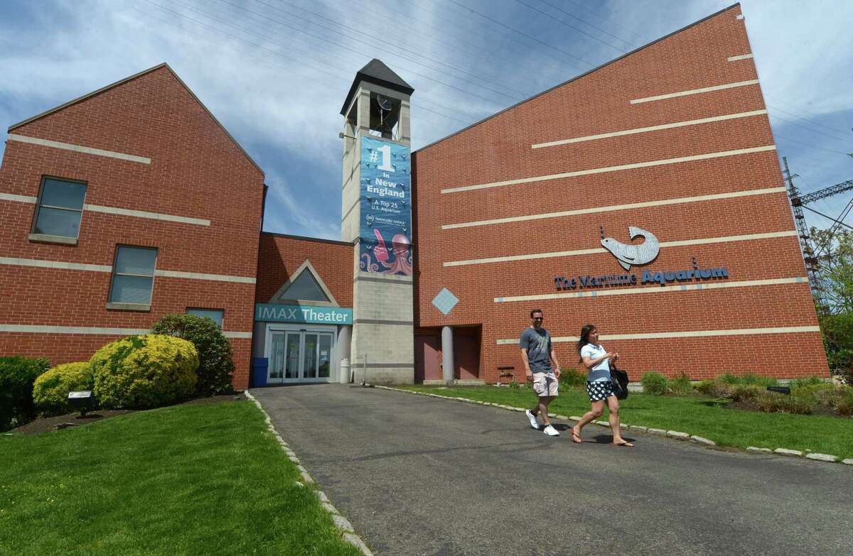 Maritime Aquarium at Norwalk turns 30 with fun events, discounted admission