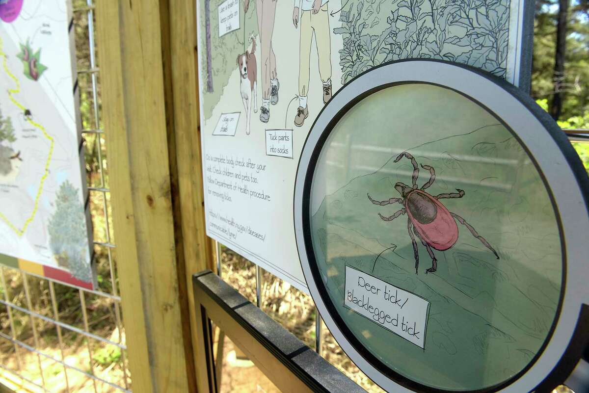 A view of the tick information board at the Albany Pinebush on Monday, May 21, 2018, in Albany, N.Y. (Paul Buckowski/Times Union)