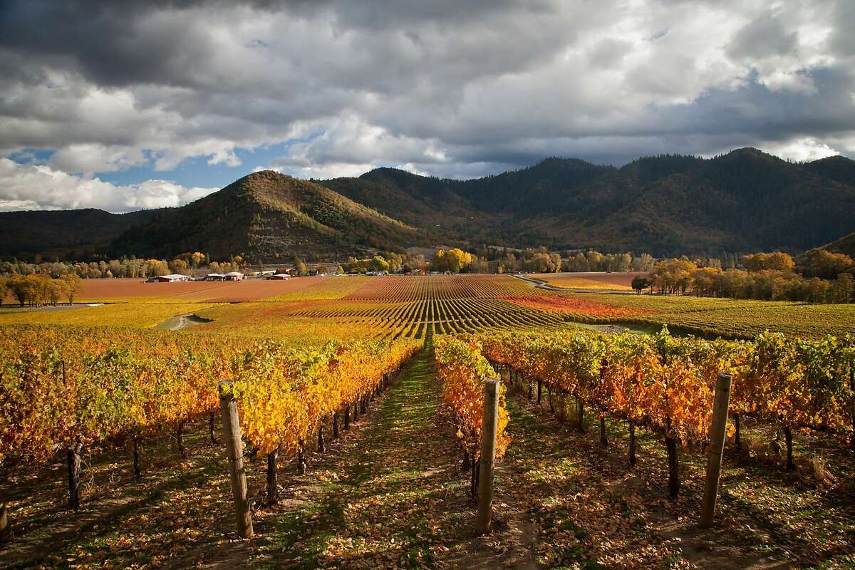 Del Rio Vineyards in Gold Hill, Ore., is 300-acre vineyard on the bank of the Rogue River, 20 minutes northwest of Medford.