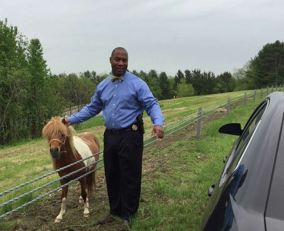 State Police Investigator Don Winn poses with a runaway pony in Columbia County, N.Y., after safely capturing the animal on the Taconic State Parkway on May 22, 2018. Photo: State Police