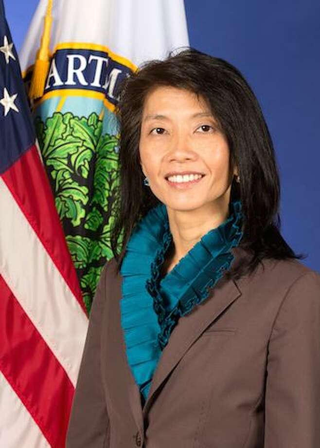 Asian and asian american