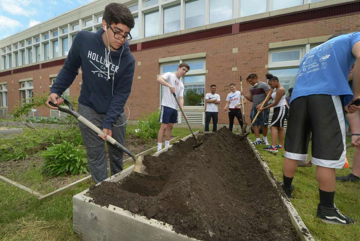 Junior Jesus Hernanddez tries his hand at gardening as Brien McMahon High School holds its first wellness week Wednesday, May 23, 2018, in Norwalk, Conn. The Future Project Wellness Workshops offered Vegetable Gardening Mind & Body Self Soothing, Wellness Jeopardy and River Rowing as well as Yoga and Aroma Therapy.