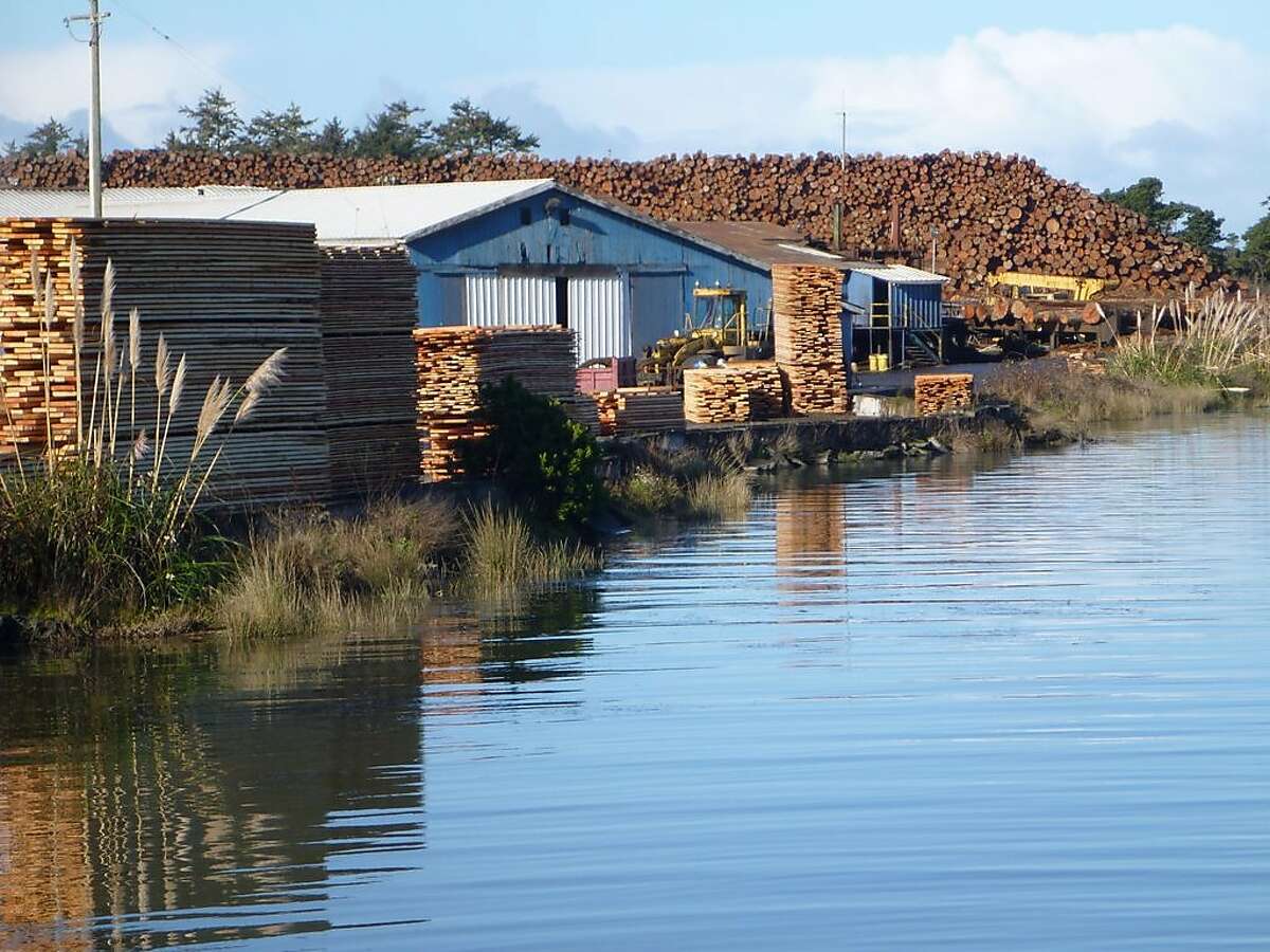 Humboldt Bay, polluted with cancer-causing dioxin from lumber mills, is scheduled for cleanup by 2019, but so far state agencies have made little progress.