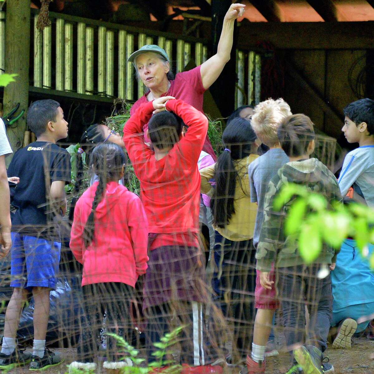 Environmental educator Anita Sanchez takes second graders from Thomas O?•Brien Academy of Science and Technology on a tour of Pine Hollow Arboretum Thursday May 24, 2018 in Slingerlands, NY. (John Carl D'Annibale/Times Union)