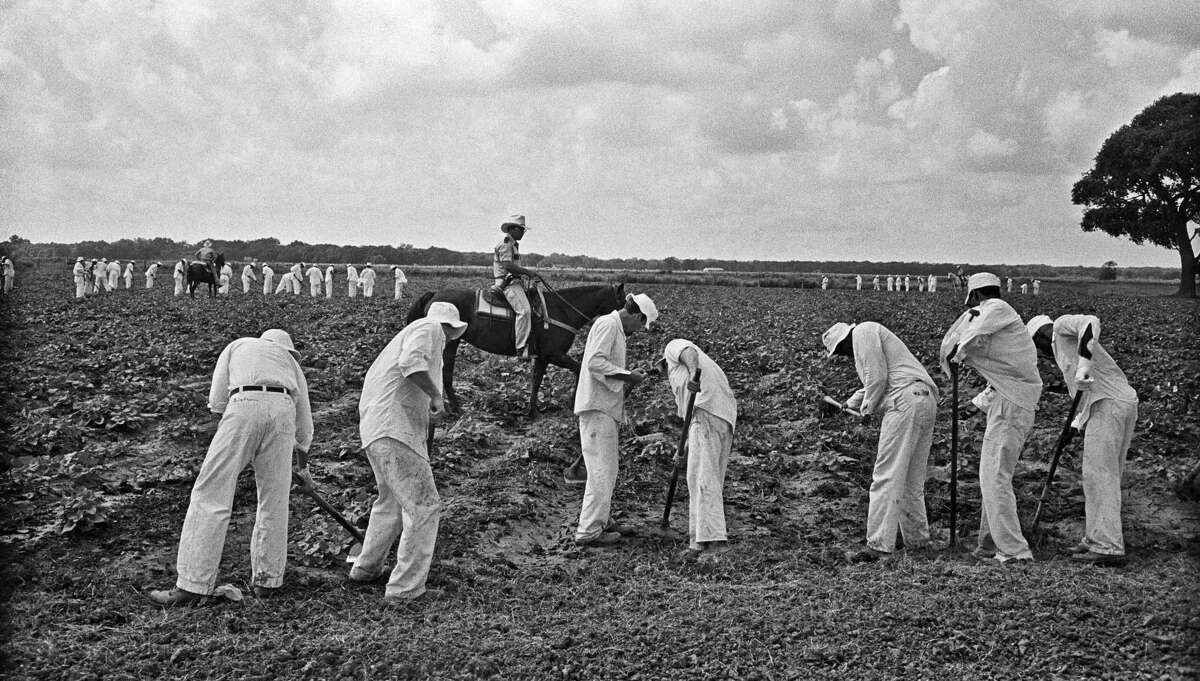 Former Texas inmate’s story proves to be a page turner