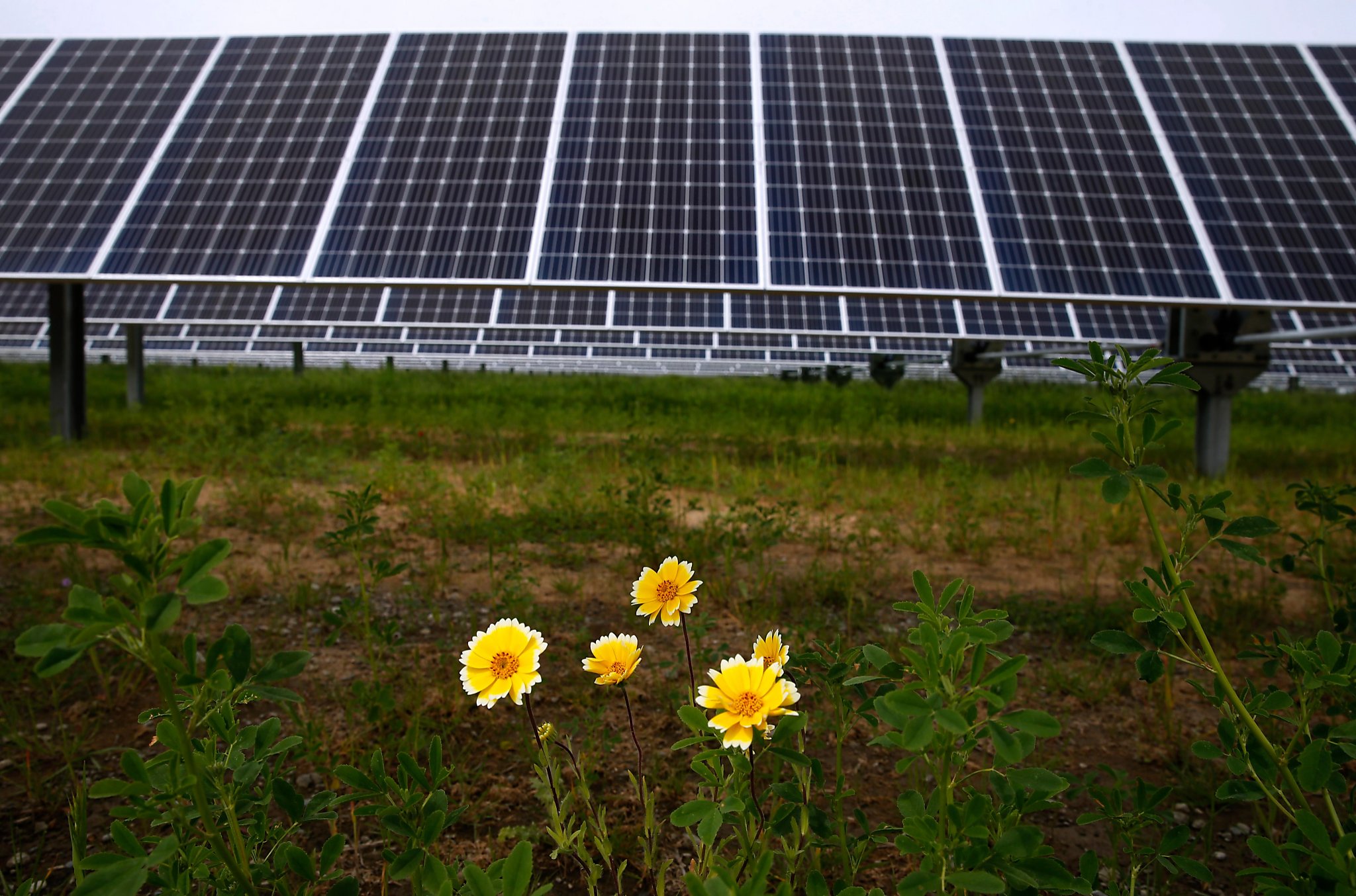 Задание зеленая энергетика. Types of Green Energy. Green Energy уг. Поселок с зеленой энергетикой. Зеленая Энергетика конец.