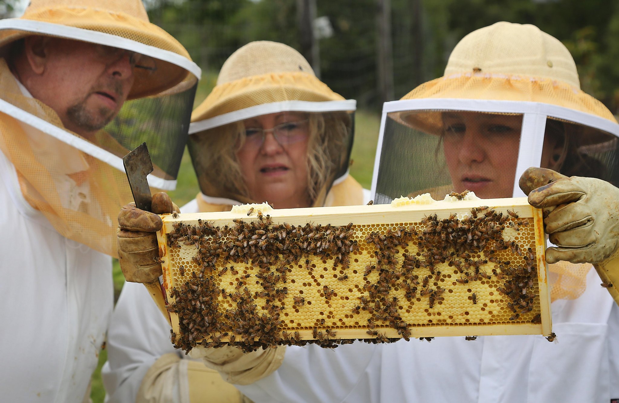 Monterey is California’s honey hub