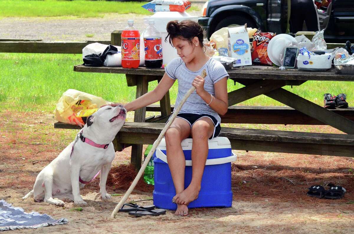 Pet ownership in the U.S.