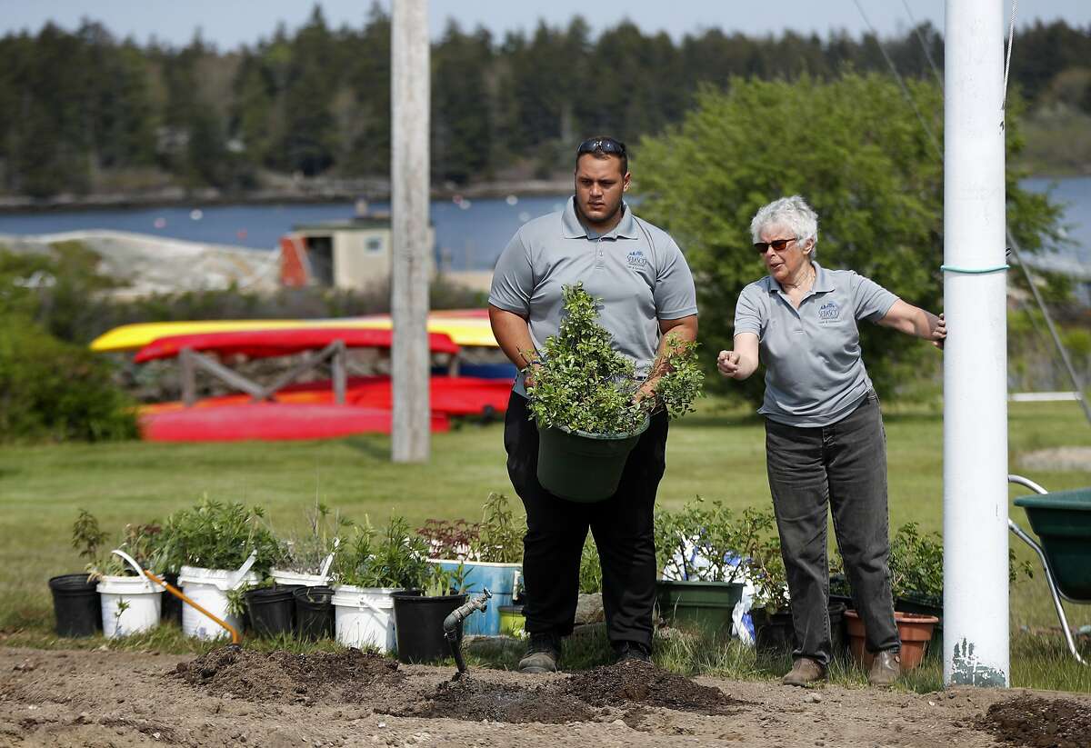 In this May 25, 2018, photo, Anthony Rios, left, works with gardener Carol Emerson at Sebasco Harbor Resort in Phippsburg, Maine. Bob Smith, owner of the resort hired a half-dozen Puerto Ricans last summer for housekeeping, landscaping and kitchen work, providing relief to his overworked staff. This summer he is doubling the number, and he would like to hire even more. (AP Photo/Robert F. Bukaty)
