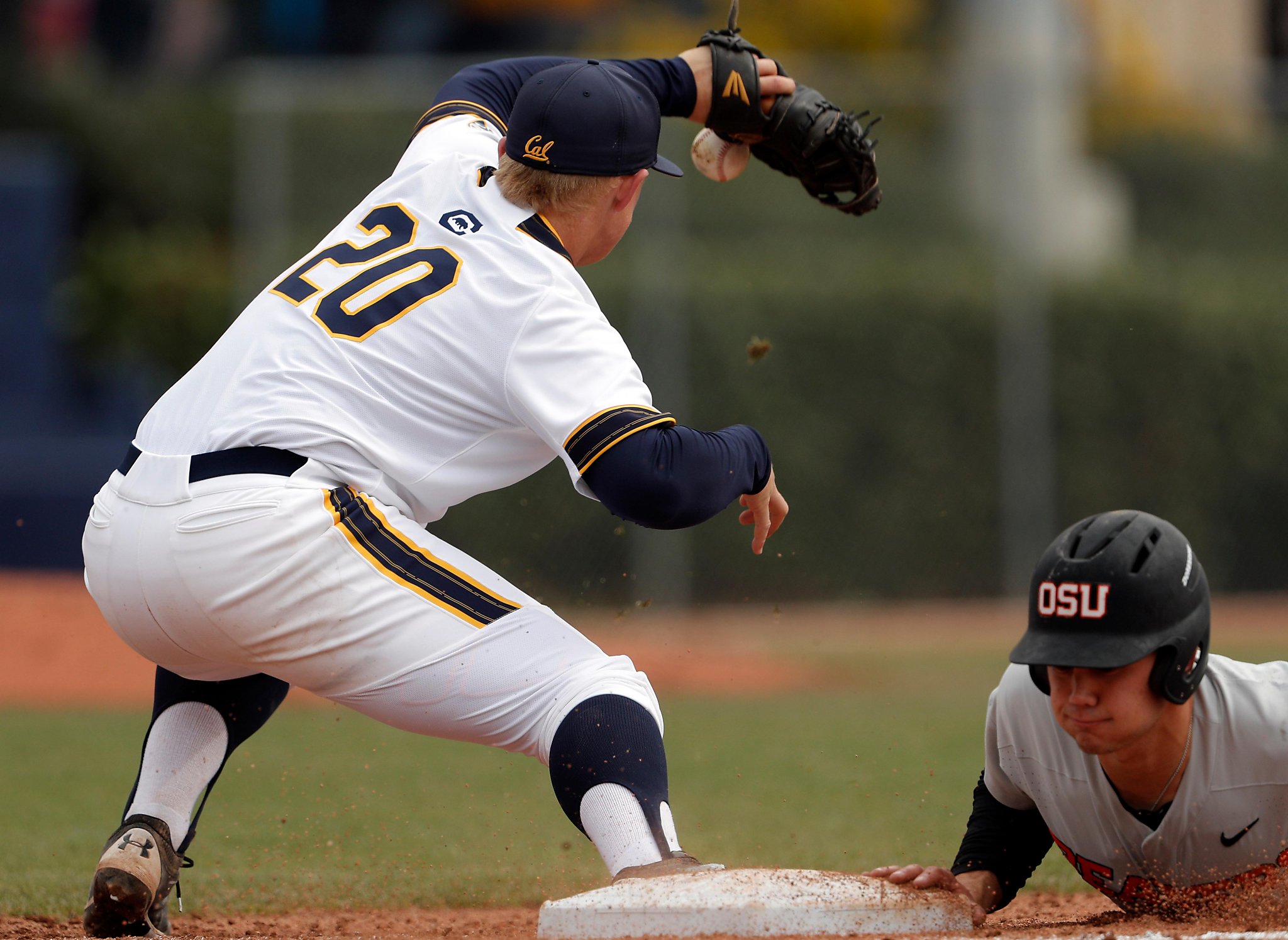 Cal baseball gets left out of NCAA postseason play