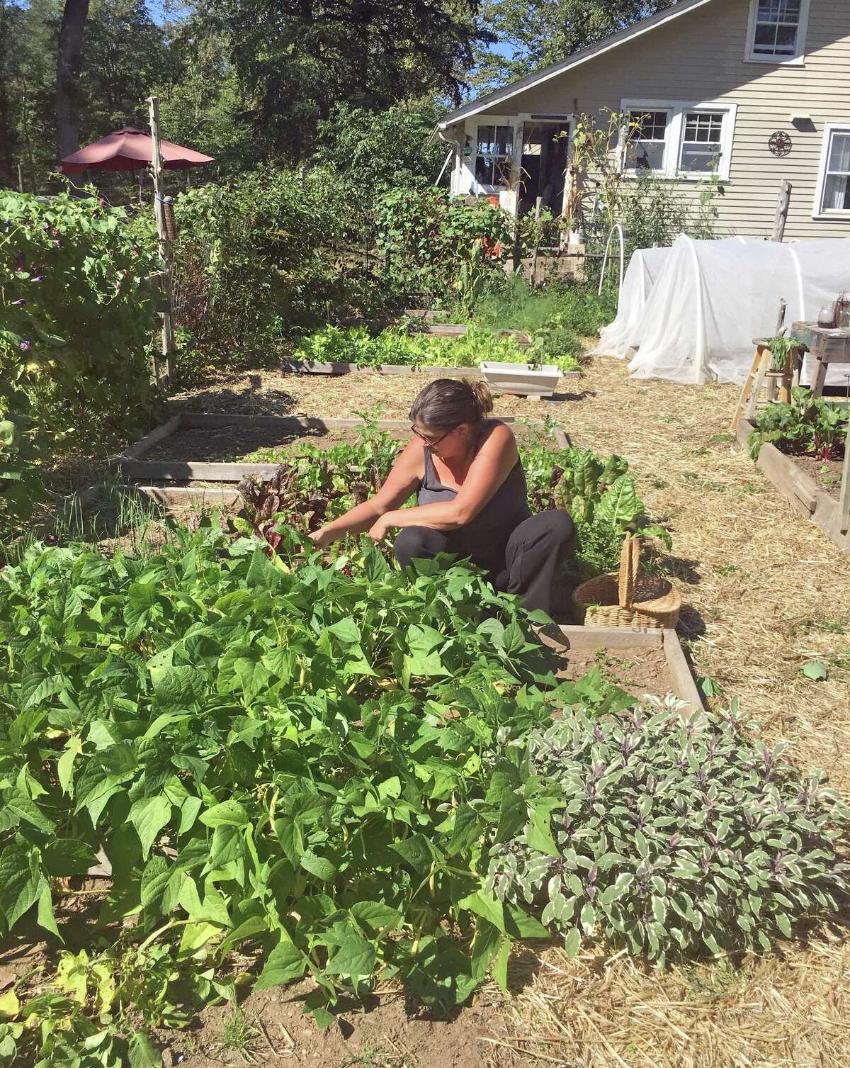 Living the farm life in Old Saybrook at Bittersweet Farm