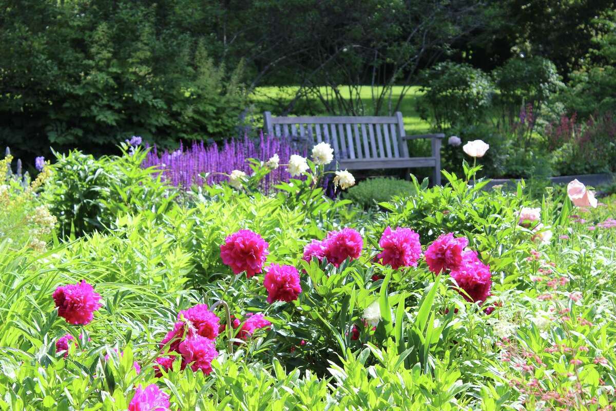 The Florence Griswold mansion, art museum and historic gardens in Old Lyme will celebrate GardenFest June 8-17 with several special events, indoors and out.