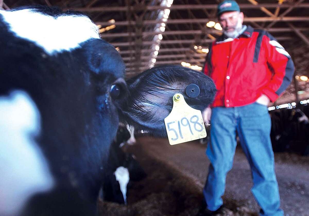 Malloy restores grant money for Connecticut dairy farmers