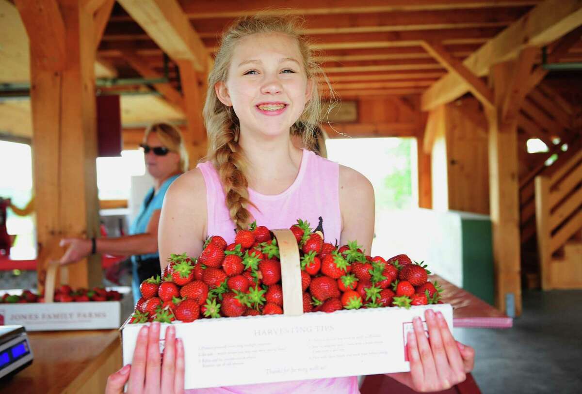 Strawberry Festivals in Connecticut 2018