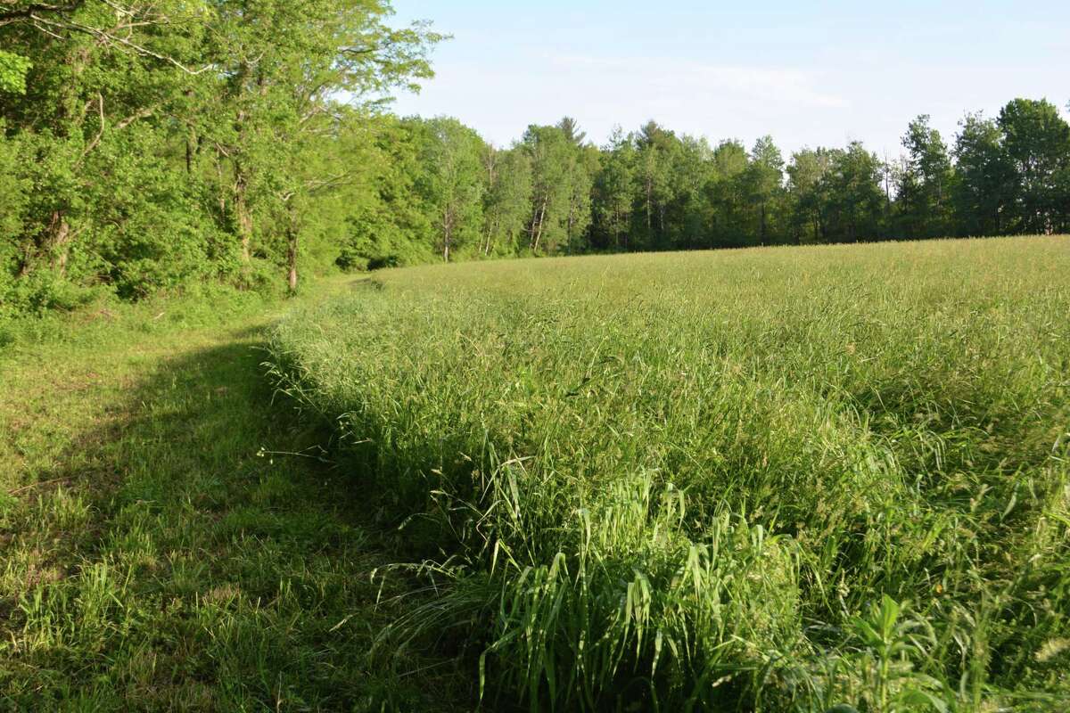 Winchester Land Trust dedicates conservation parcel in memory of