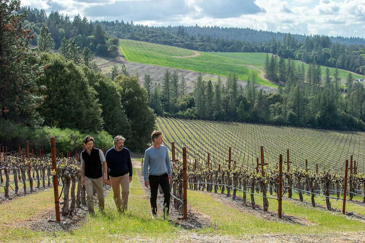 The Molnar brothers, with their winemaker Michael Terrien (right), are in the process of adding 140 acres of grapevines to their current 105-acre vineyard.
