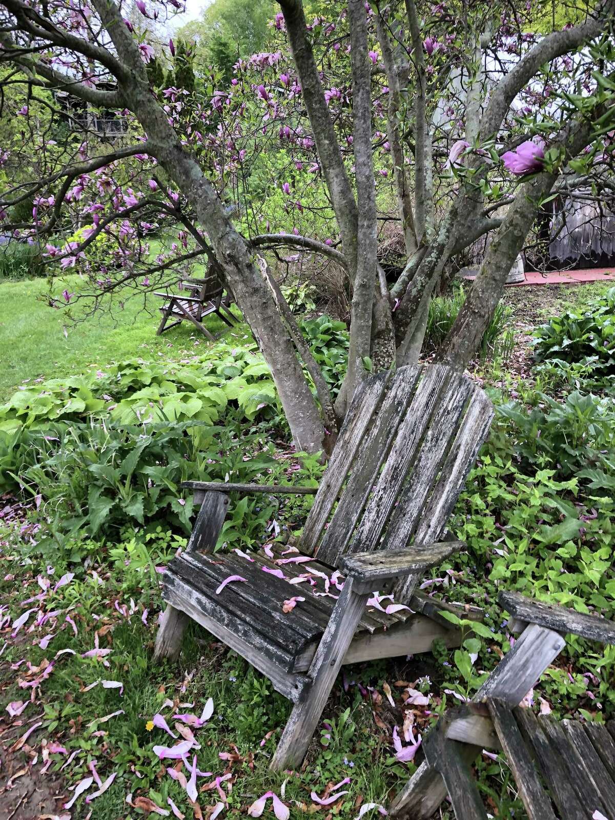 Ridgefield’s Garden of Ideas to close