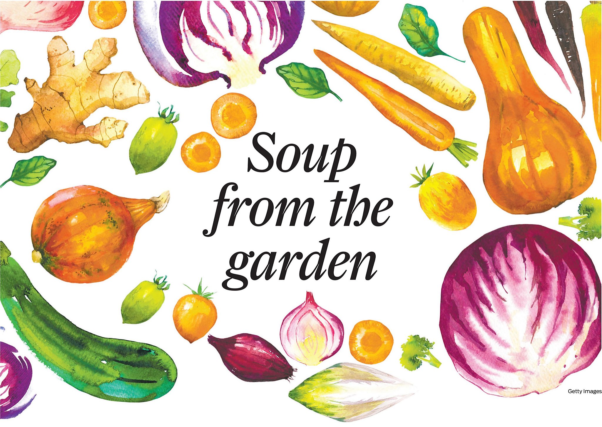How Bay Area Gardeners Can Grow Their Own Soup Sfchronicle Com