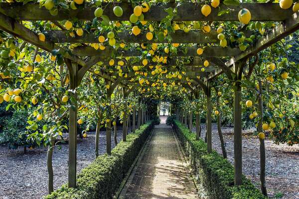 Santa Barbara Serenity Abounds In Region S 5 Best Public Gardens