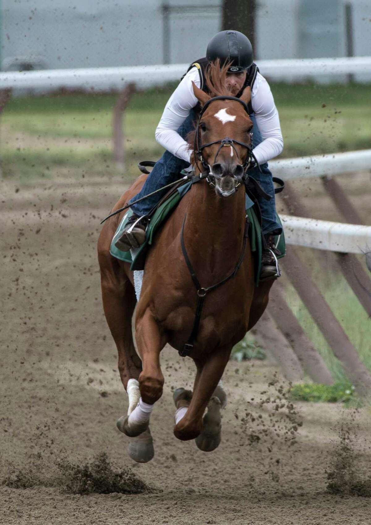 10 horses to watch at Saratoga