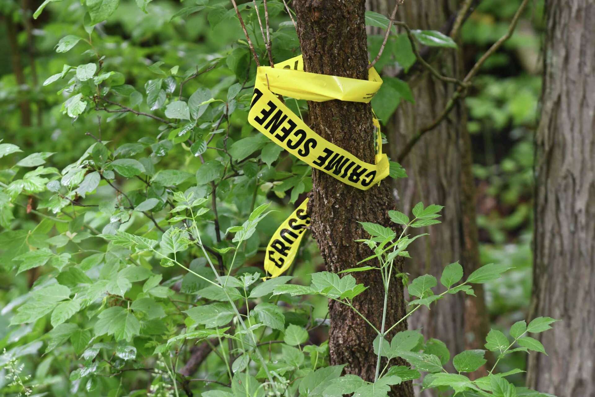 Cops: Rensselaer woman found dead in 2018 had rat poison in system