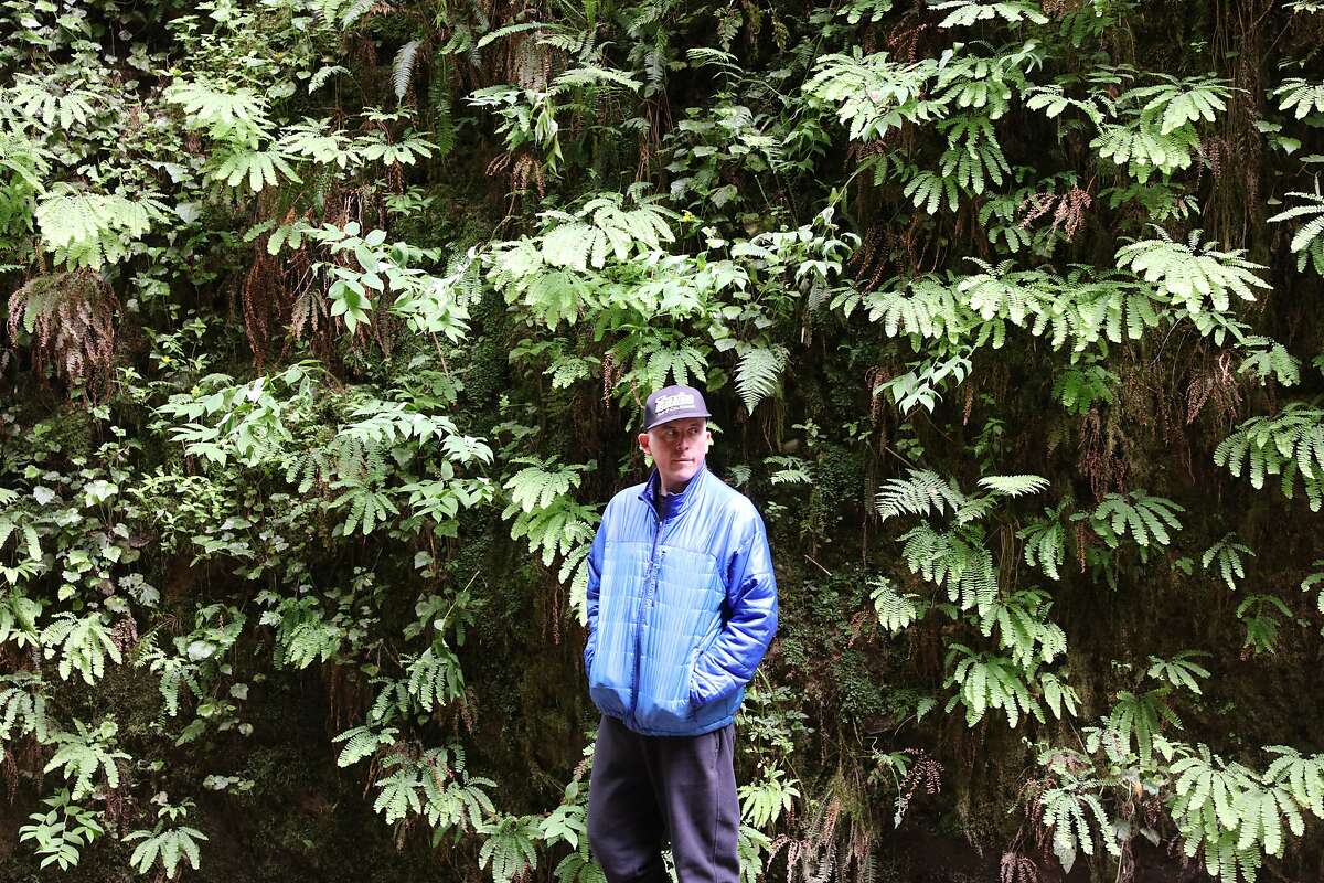 Gone βsquatchinβ How to hunt for Bigfoot