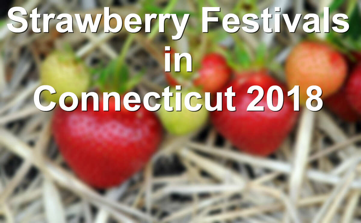 Strawberry Shortcake History And The Branford Festival