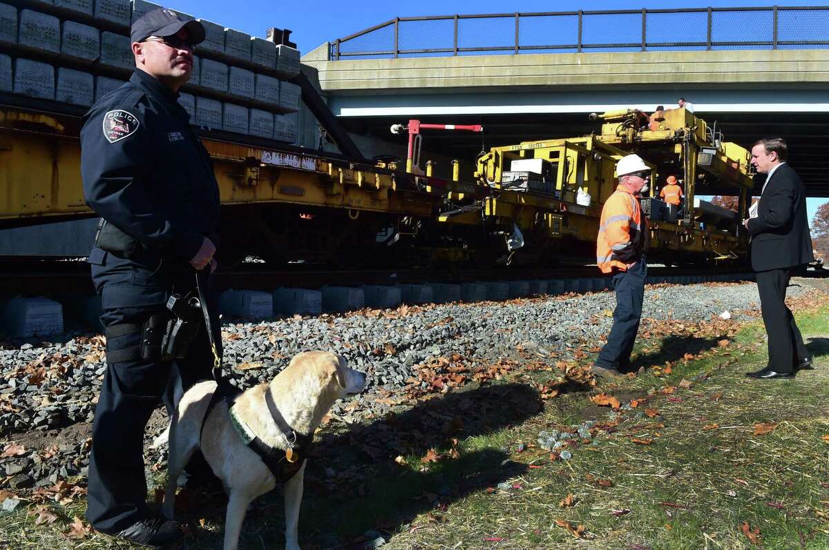 are dogs allowed on amtrak trains