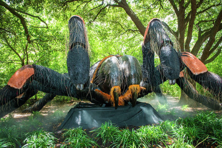 The Houston Zoos Big Bugs Exhibit Running Through The End Of Summer Offers Up The Houston Zoos Big Bugs Exhibit Running Through The End Of Summer Offers Up