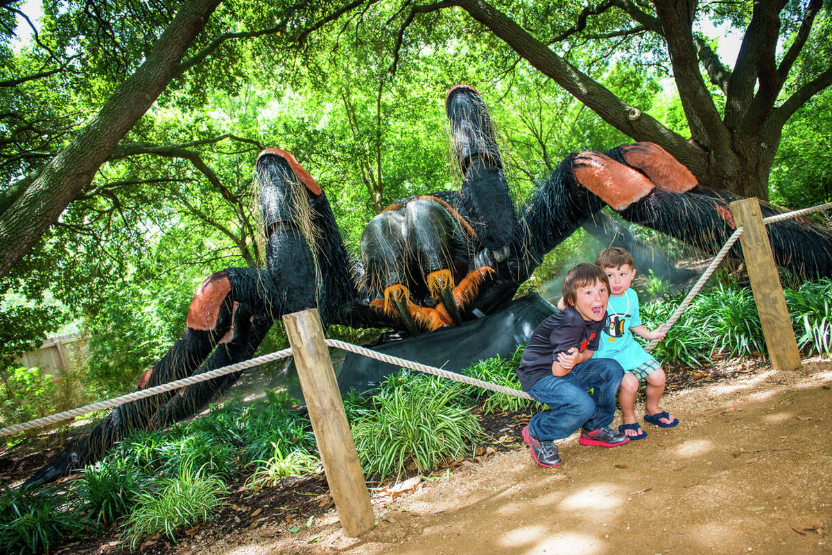 The Houston Zoo's Big Bugs exhibit, running through the end of summer, offers up large animatronic bugs nearly 60 times their regular size. The exhibit has 17 bugs total which help visitors get to know some of nature's most alien-looking insects. Thankfully these don't bite.