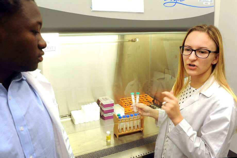 Ub Designed Experiments Headed For E Connecticut Post Emily Juliano A Biology Major Holds Samples Of Cho Chinese Hamster Ovary
