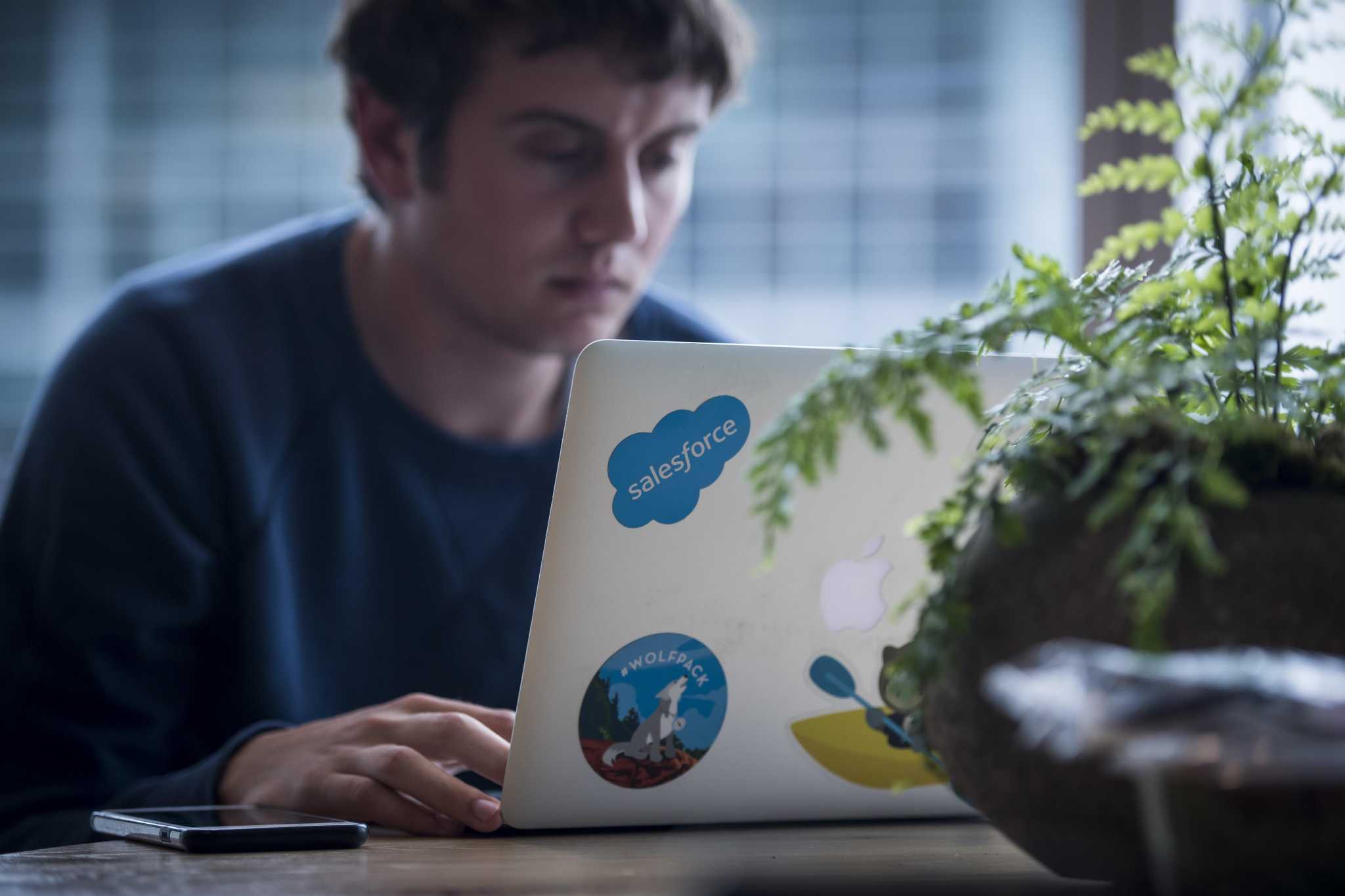 Indeed Survey on Remote Working 2018