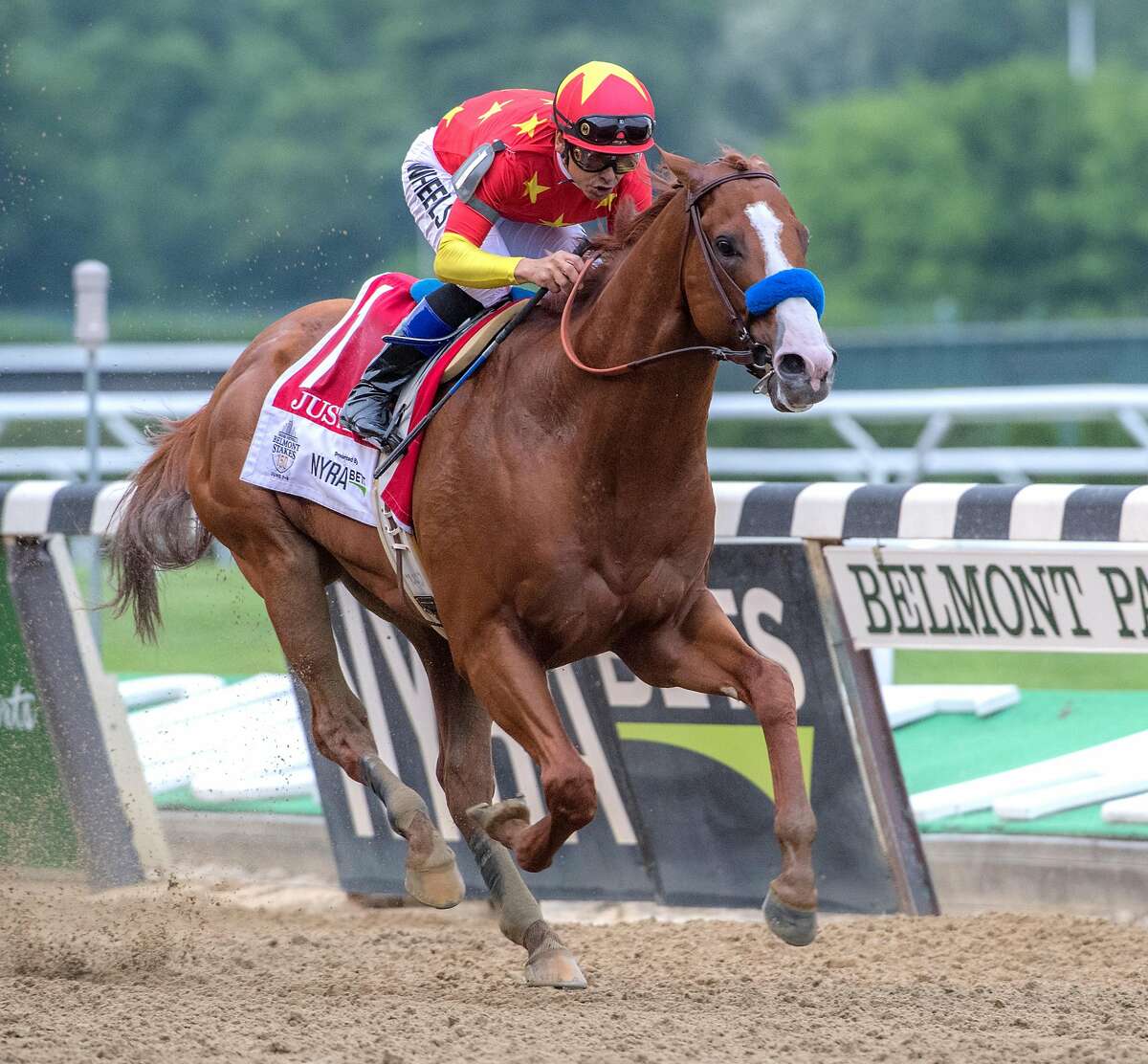 Justify with jockey Mike Smith holds off the competition and wins the 150th running of the Belmont Stakes and the coveted Triple Crown of Thoroughbred race at Belmont Park Saturday June 9, 2018, in Elmont, N.Y. (Skip Dickstein/Times Union)