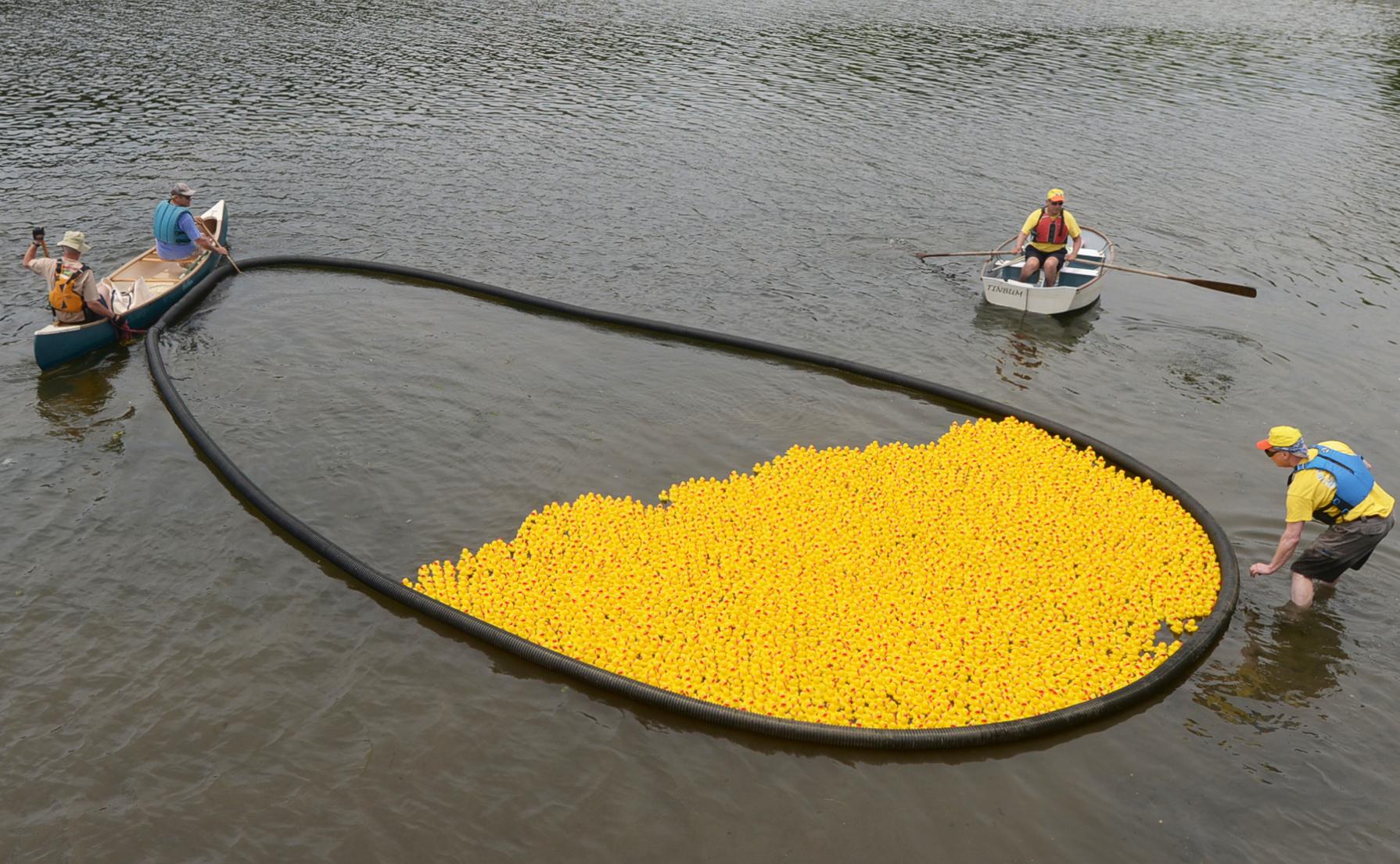 In Pictures / Rubber duckies float down Saugatuck for a good cause