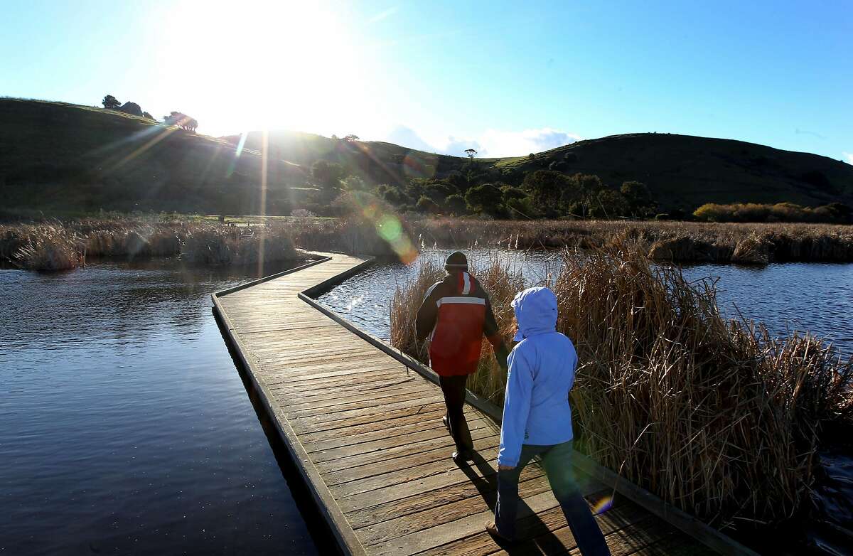 Visitors walk on a series of raised boardwalks through the marshes at Coyote Hills Regional Park, which located next to the 12-mile Alameda Creek Trail in Fremont. The Park runs west alongside Alameda Creek from the mouth of Niles Canyon in southern Alameda County to Coyote Hills Regional Park and the San Francisco Bay. The Park is approximately 1,000 acres renown for its bird-filled marshes, a Tuibun Indian village, and an array of hills, Indian shell mounds and Bay views. Thursday Jan 10, 2013, in Fremont California.