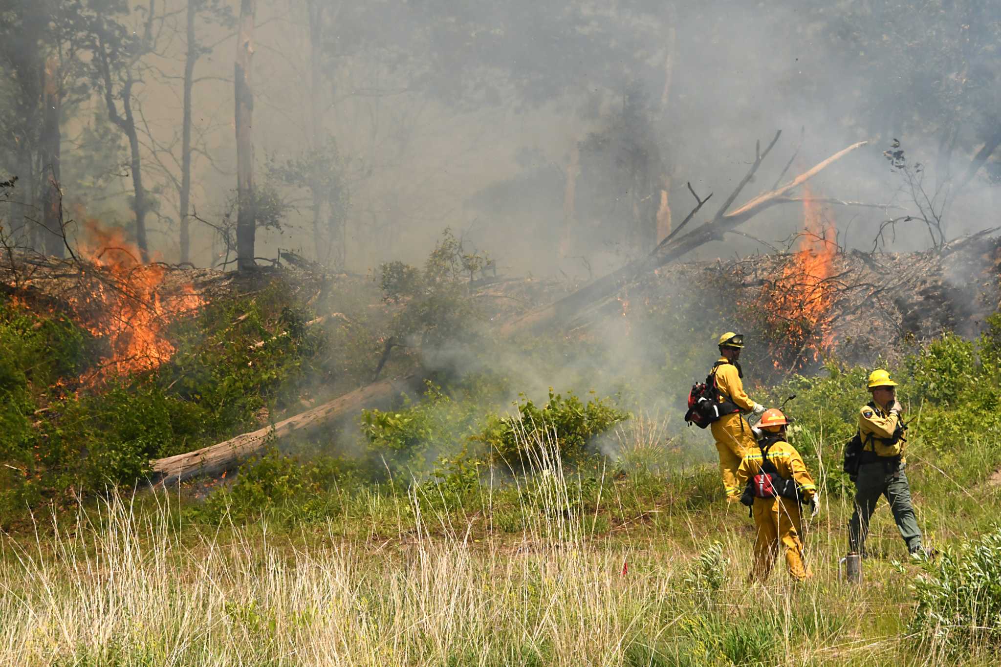 Controlled burn Tuesday in Pine Bush Preserve